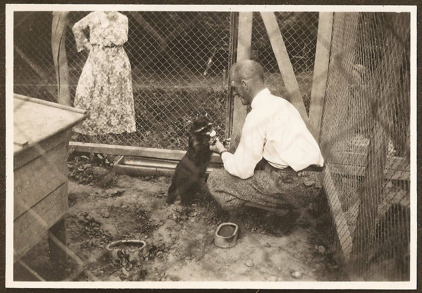 Rolf Haag and one of his raccoons, photo taken by Christoph Haag Rolf Haag and one of his raccoons, photo taken by Christoph Haag