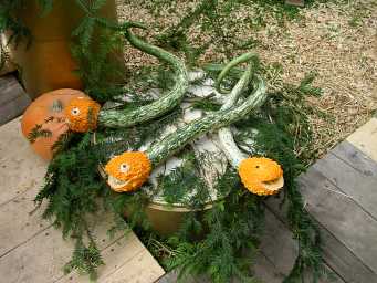 Kinky pumpkins